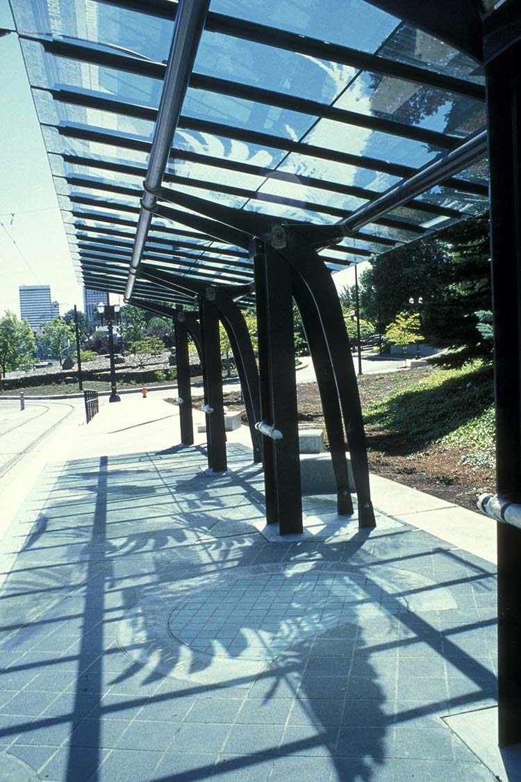 Metal and glass shelter casting shadows of feathers and wings on the concrete